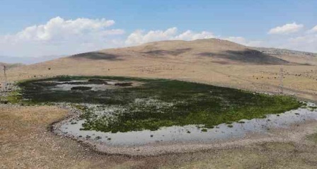 20 farklı göçmen kuş türüne ev sahipliği yapan Nenehatun gölü kurudu