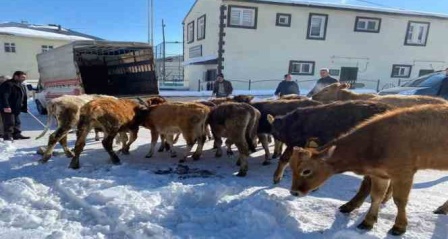 Akdağlı köylülerden örnek yardım