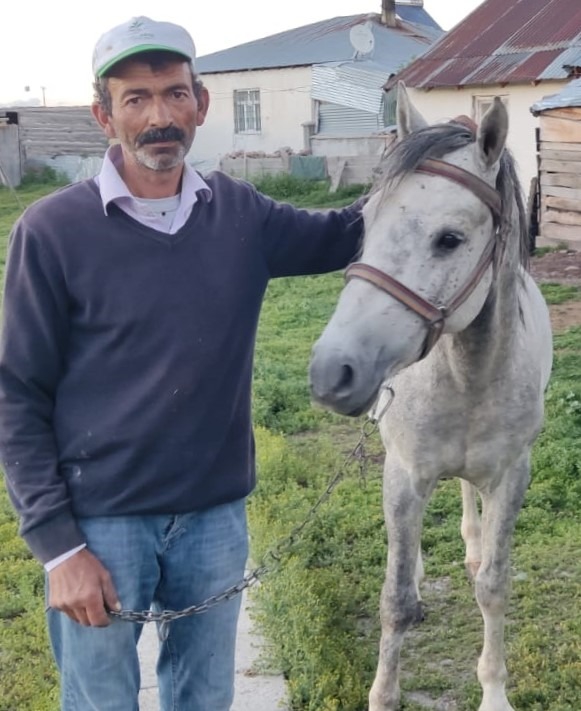 Atına yasaklı ırk köpek saldırınca işsiz kaldı; köpeğin sahibi at hediye etti