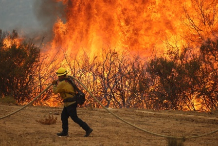 California'da orman yangınları sürüyor