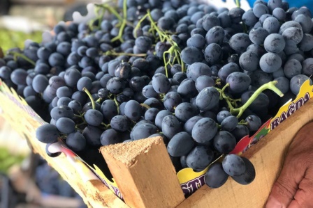 Cimin üzümü tezgahtaki yerini almaya başladı