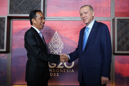 Cumhurbaşkanı Erdoğan, Endonezya Devlet Başkanı Widodo ile görüştü