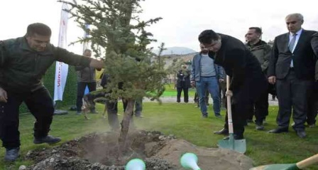 Doğa harikası Tortum Şelalesi'nin çehresi yeni dikilen fidanlarla değişecek