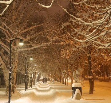 Doğu'da kar esareti; 1560 köy yolu kapandı