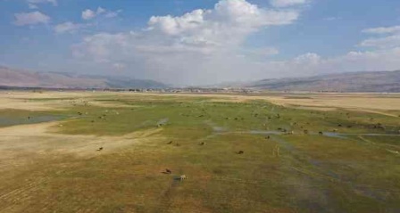 Havadan görüntülenen meralar ve beslenen hayvanlar eşsiz görüntüler ortaya çıkarttı