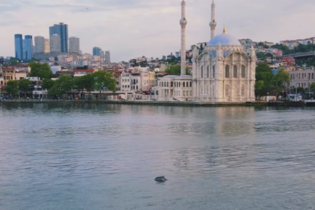 İstanbul Boğazında yunus şöleni