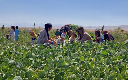 Kreş çocuklarından 'tarladan-sofraya' üretim