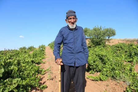 Yaşına aldırış etmiyor, 'bozkır'ı diktiği ağaçlarla yeşillendirdi