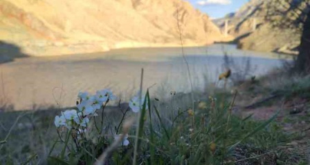 Yusufeli baraj suları, Erzurum sınırına dayandı